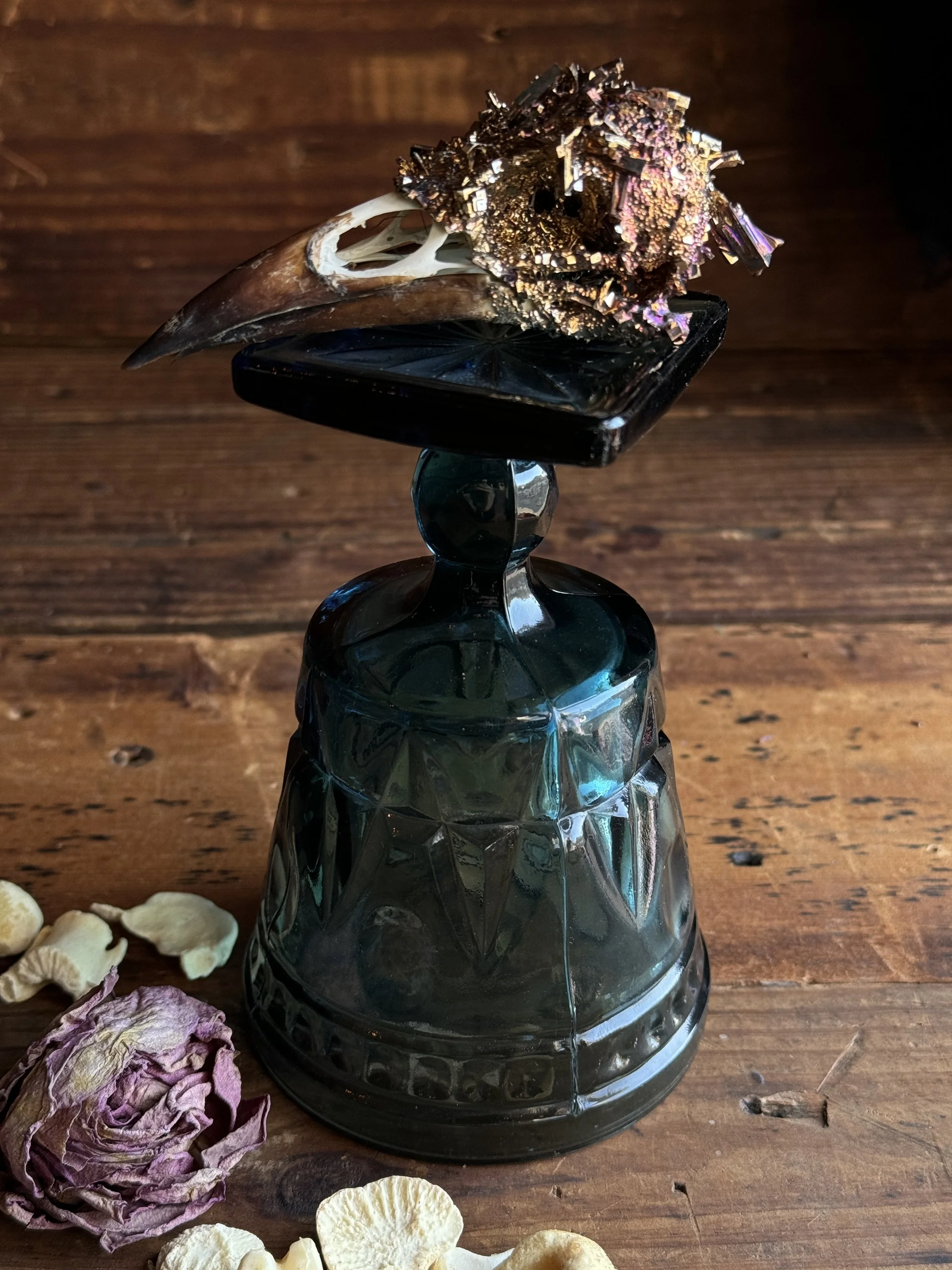 Bismuth Crystalized Bird Skull — Sideshow Gallery